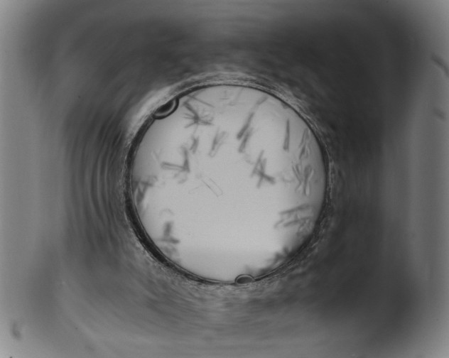 X0000101650007200807241405