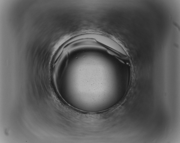 X0000101650008200807241405