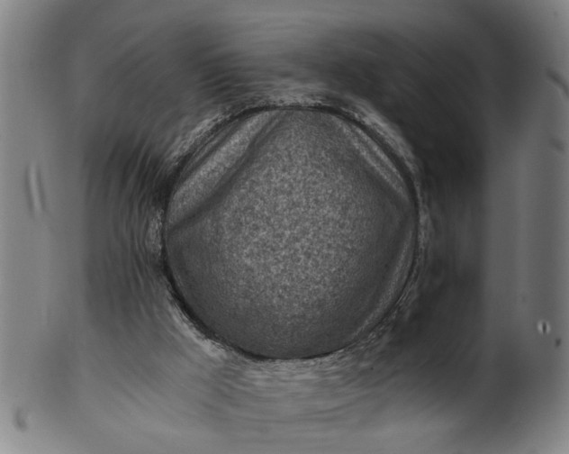 X0000101650009200807241405