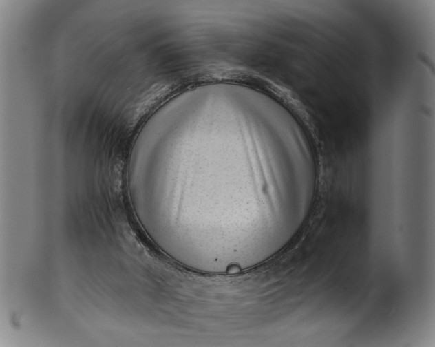 X0000101650010200807241405