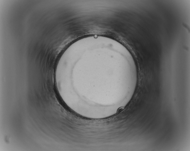 X0000101650011200807241405