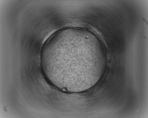 X0000101650012200807241405