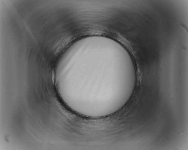 X0000101650013200807241405