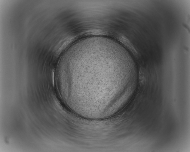 X0000101650014200807241405