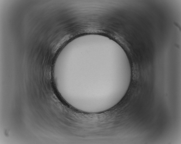 X0000101650015200807241405