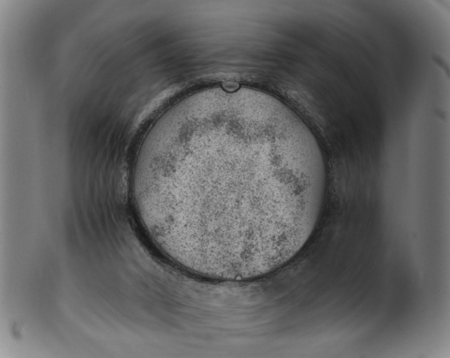 X0000101650016200807241405