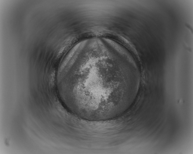 X0000101650018200807241405