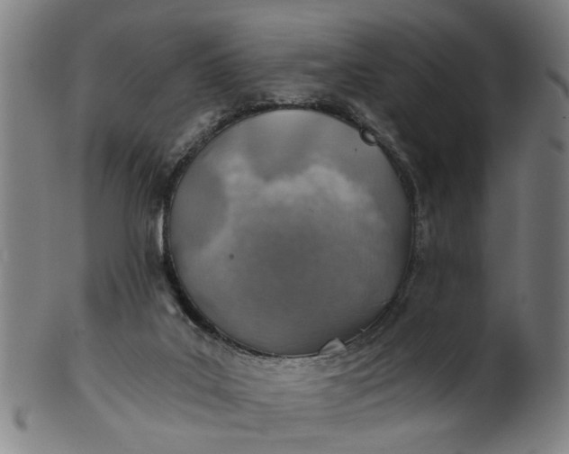X0000101650019200807241405