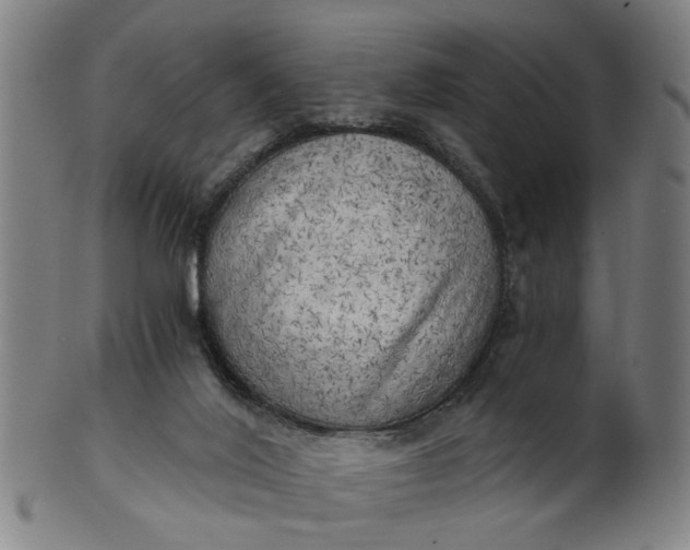 X0000101650020200807241405