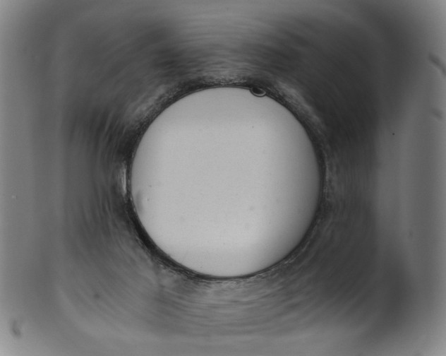 X0000101650021200807241405