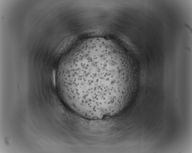 X0000101650022200807241405