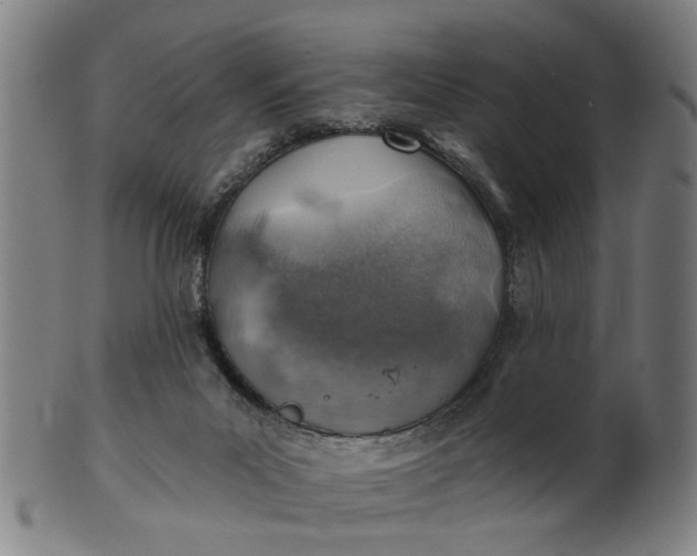X0000101650023200807241405