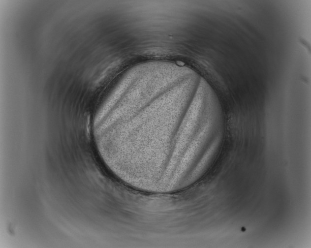 X0000101650024200807241405
