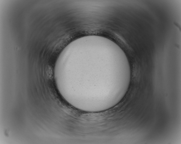 X0000101650025200807241405