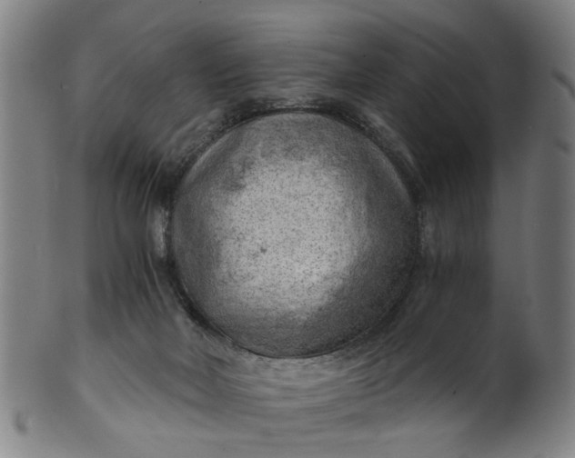 X0000101650026200807241405