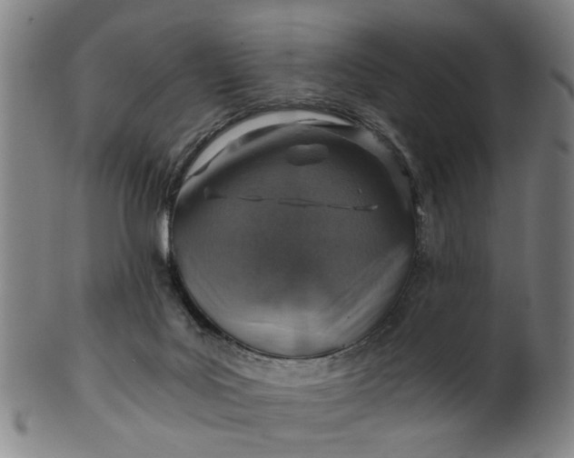 X0000101650027200807241405