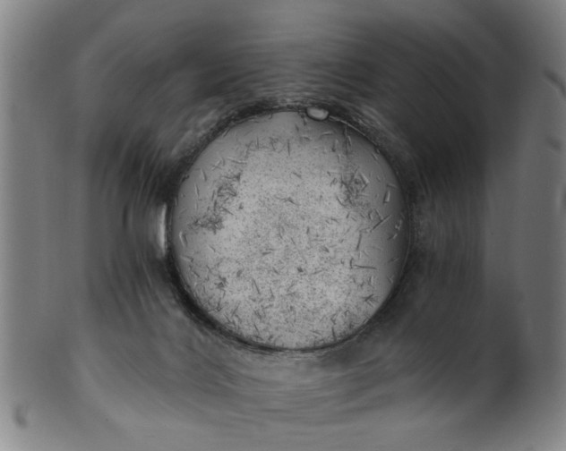 X0000101650028200807241405