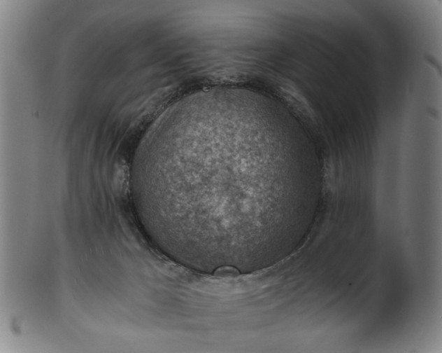 X0000101650029200807241405