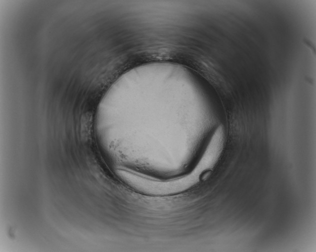 X0000101650030200807241405