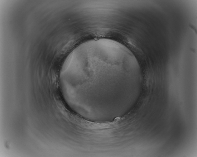 X0000101650031200807241405
