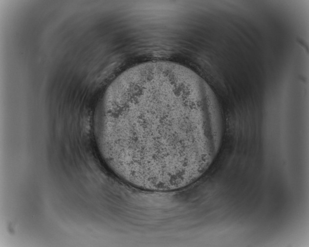 X0000101650032200807241405