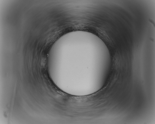 X0000101650033200807241405