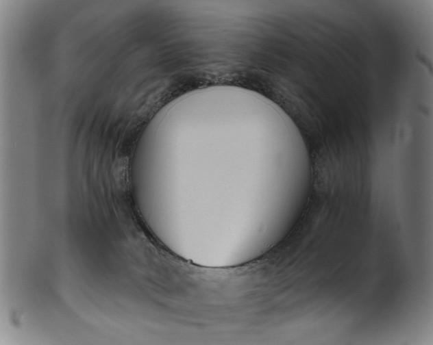 X0000101650034200807241405