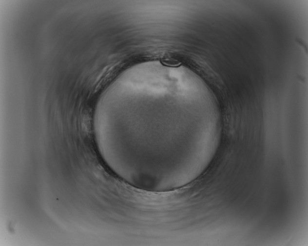 X0000101650035200807241405