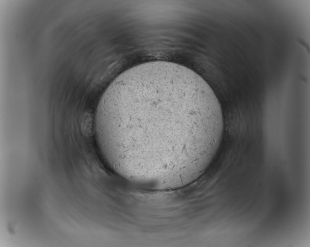 X0000101650036200807241405