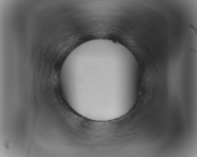 X0000101650037200807241405
