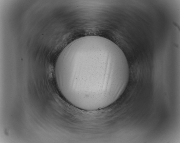 X0000101650038200807241405