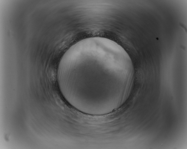 X0000101650039200807241405