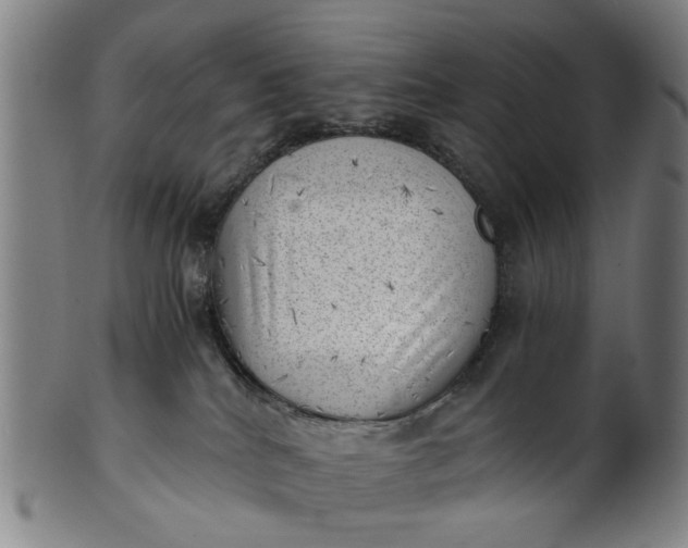 X0000101650040200807241405