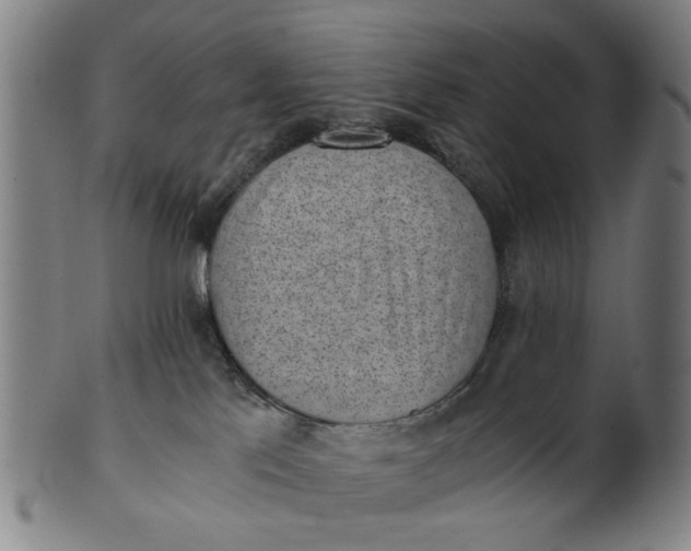 X0000101650041200807241405