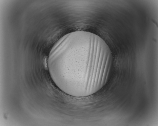X0000101650042200807241405