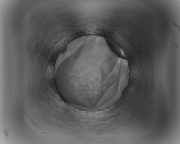 X0000101650043200807241405