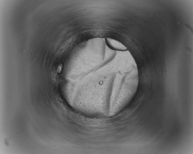 X0000101650044200807241405