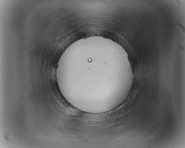 X0000101650045200807241405
