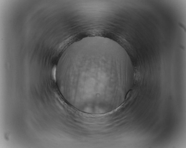 X0000101650047200807241405