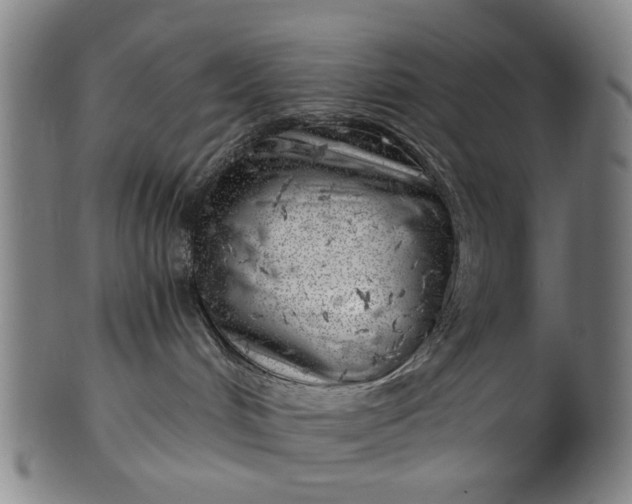 X0000101650048200807241405