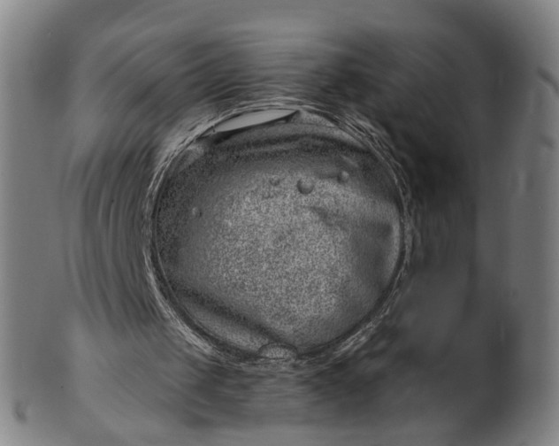 X0000101650049200807241404