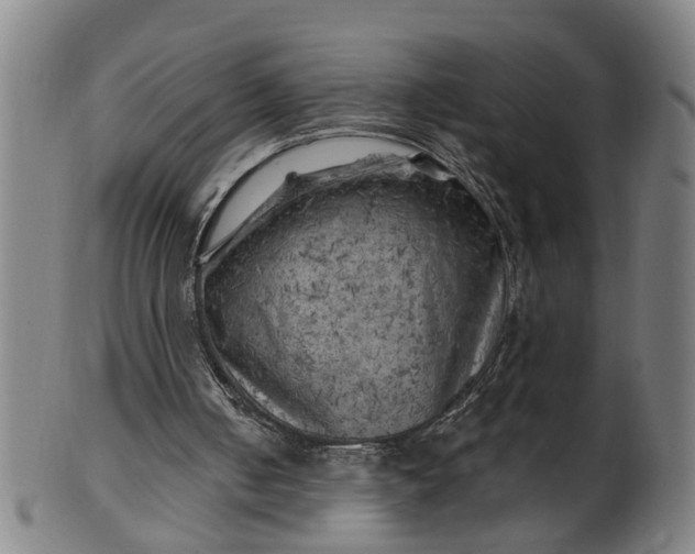 X0000101650050200807241404
