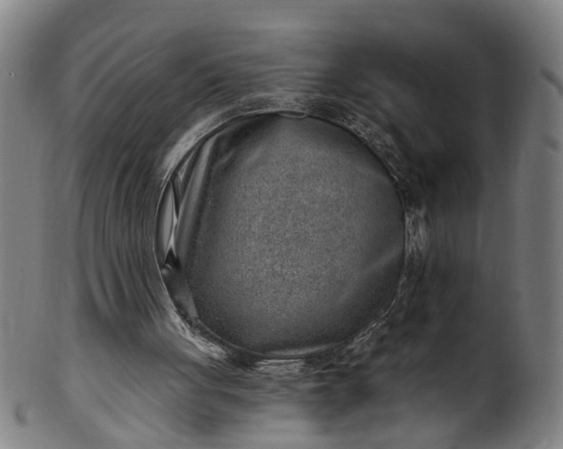 X0000101650051200807241404
