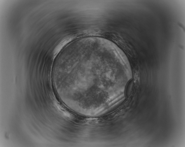 X0000101650052200807241404