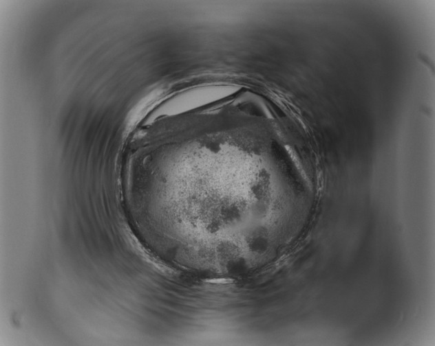 X0000101650053200807241404