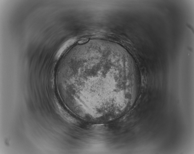X0000101650054200807241404