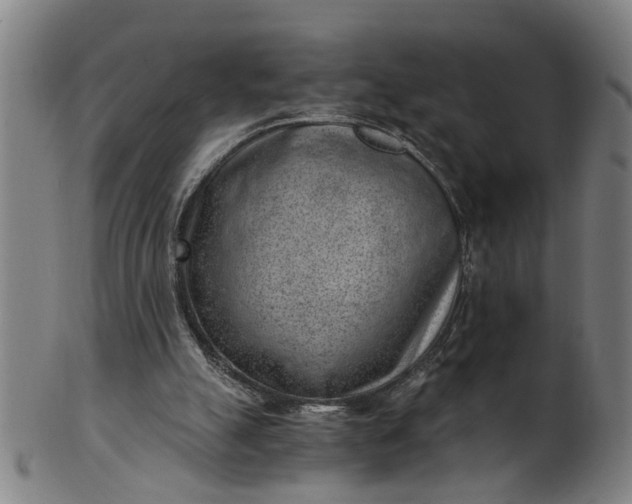 X0000101650055200807241404