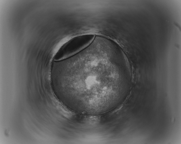 X0000101650056200807241404