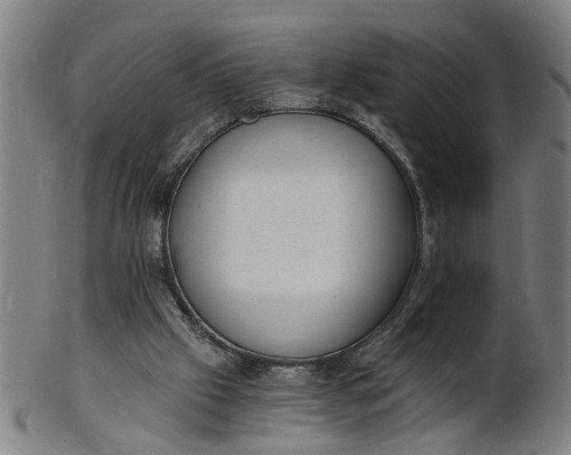 X0000101650057200807241404