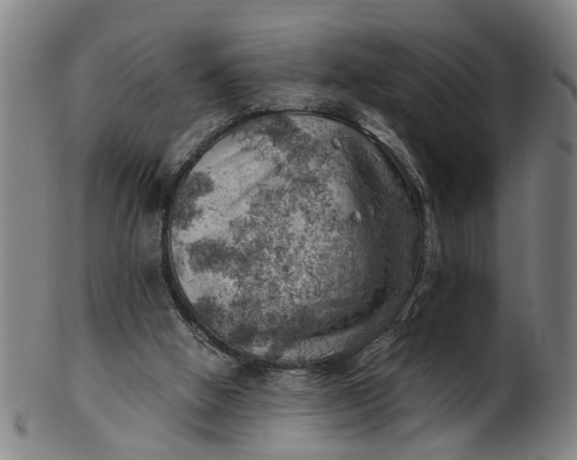 X0000101650058200807241404